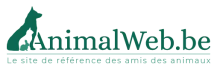 AnimalWeb, le site pour retrouver ou signaler un animal de compagnie 
